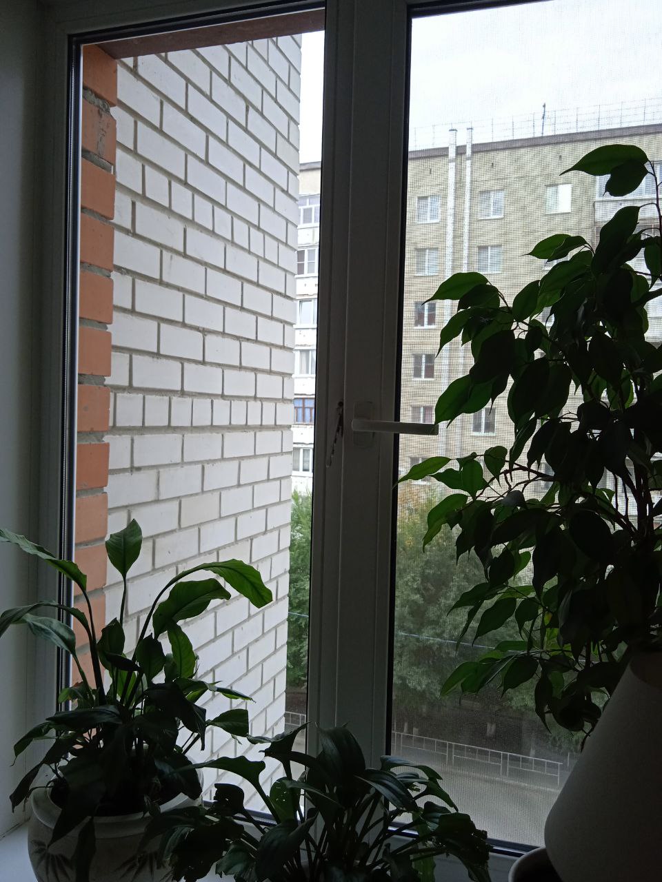 https://barnaul.delaem-okna.ru/storage/app/uploads/public/63f/332/8c0/63f3328c0408d690824237.jpg