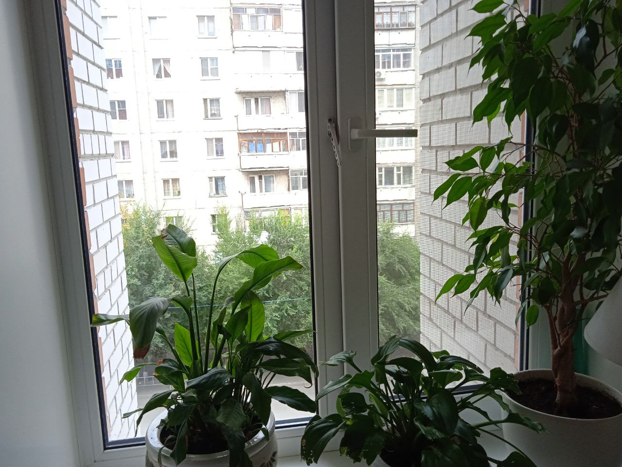 https://barnaul.delaem-okna.ru/storage/app/uploads/public/63f/332/8c0/63f3328c0d6f7867060515.jpg